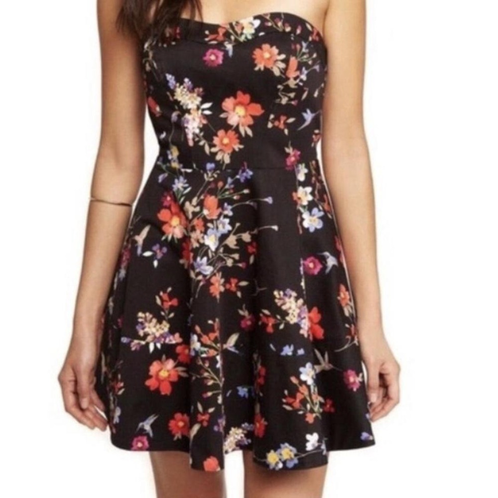Express Floral Hummingbird Strapless Fit and Flare Dress Black Sweetheart Size 2